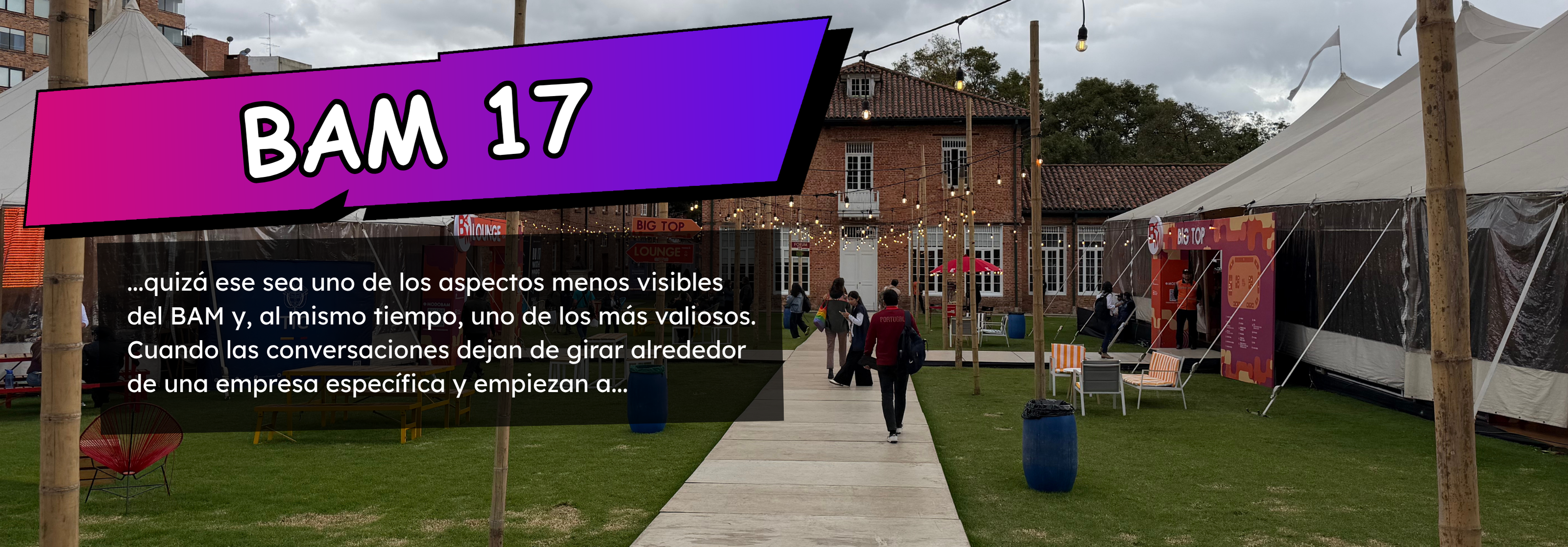 BAM 17