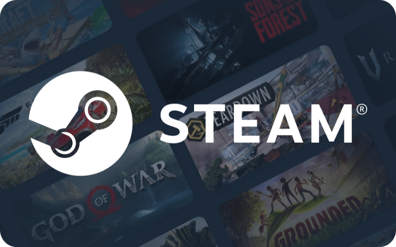 Steam