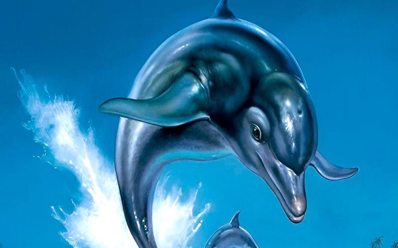 Ecco the Dolphin