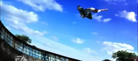 Skate