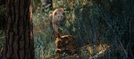 Hunting 3