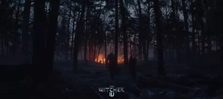 The Witcher 4