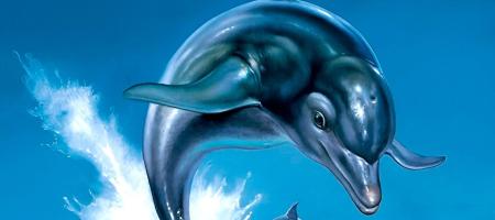 Ecco the Dolphin