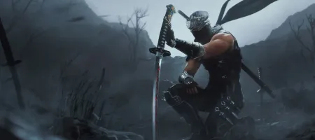 Ninja Gaiden 2 Black