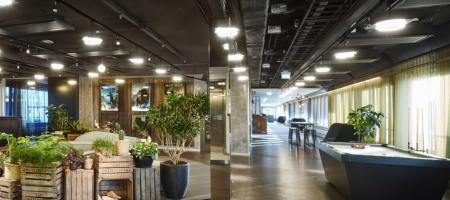 Avalanche Studios