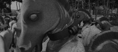 Horses