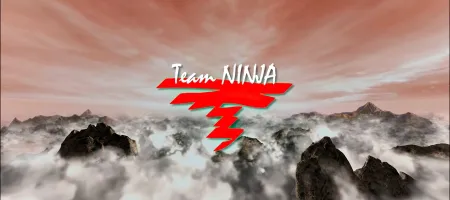 Team Ninja