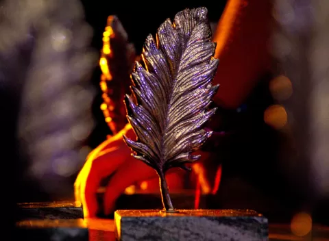 Premios Principe de los Paramos