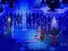Stardew Valley