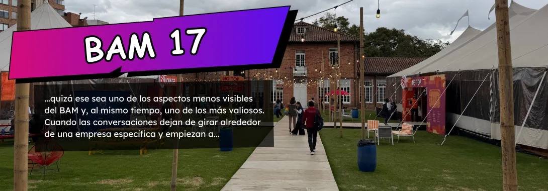 BAM 17